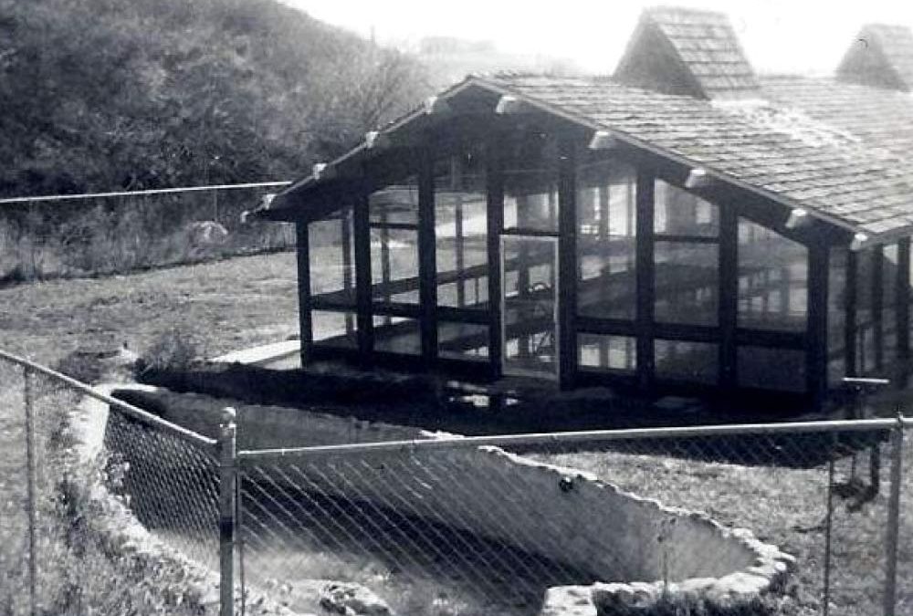 Photo of heart shaped springs and covered indoor pool in 1931.