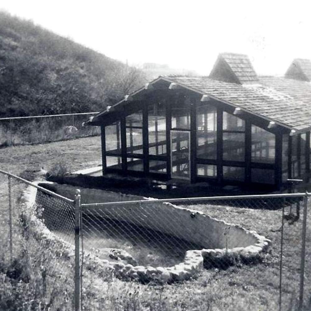 Photo of heart shaped springs and covered indoor pool in 1931.